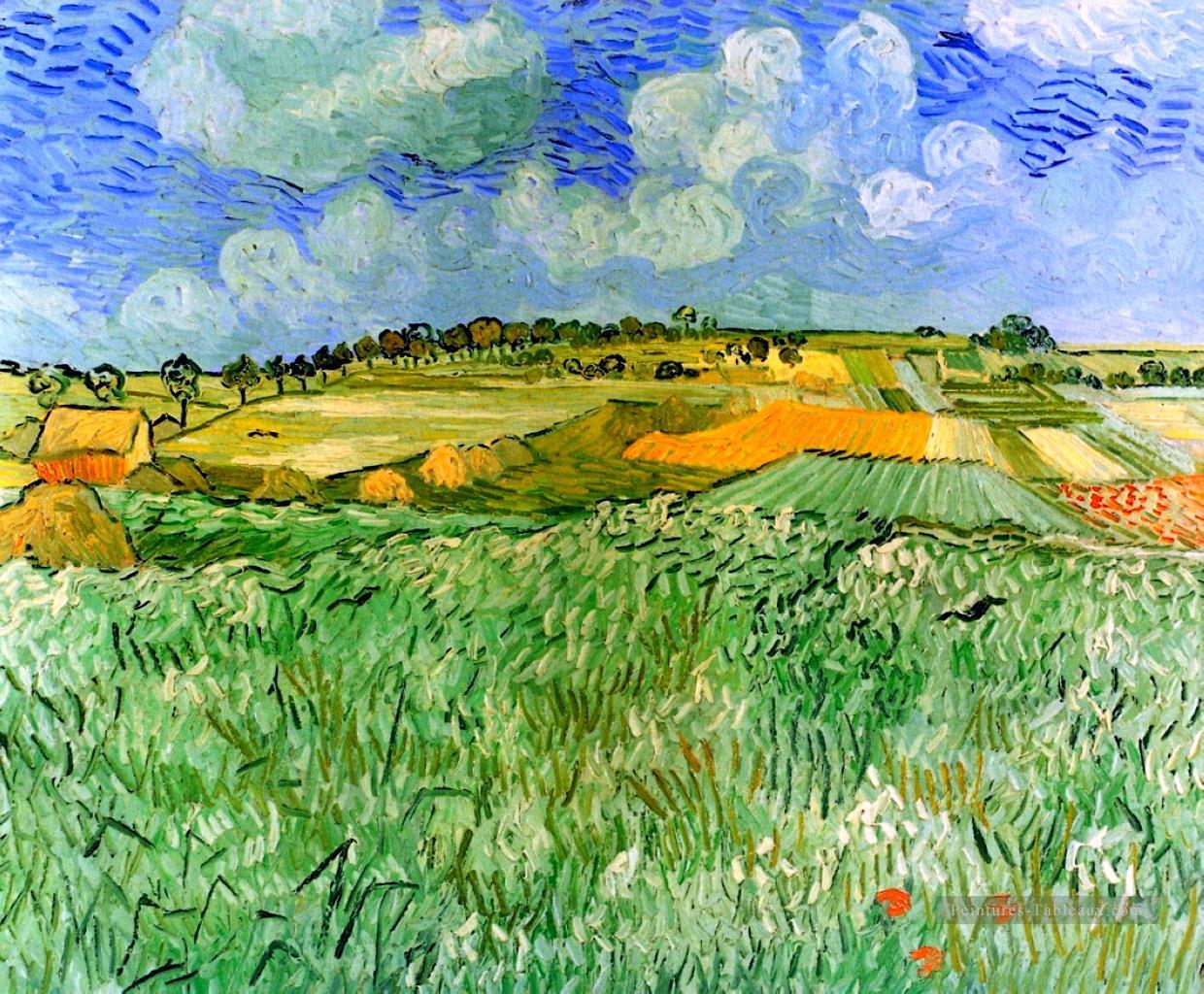 Plain près de Auvers Vincent van Gogh Peintures à l'huile
